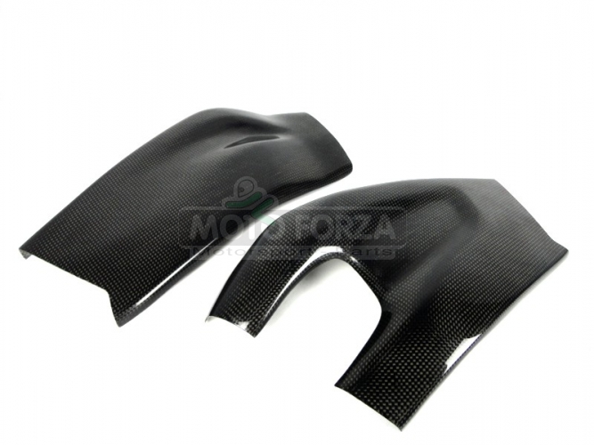 CARBON plain - lesklý - Kryty zadní vidlice - pár BMW S1000RR 09-18 / R 12-14 